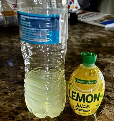 LEMON BOTTLE 10本セット 正規品 Amazon.com : Lemon Juice Org Squeeze Bottle (Pack of 12