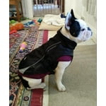 Image 2 of customer photos