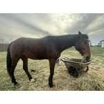 Image 6 of customer photos