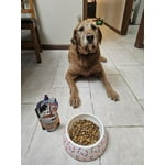 Image 5 of customer photos