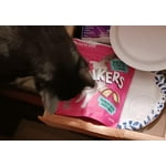 Image 5 of customer photos