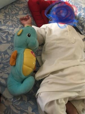 seahorse night light fisher price