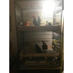 Image 5 of customer photos