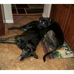 Image 1 of customer photos