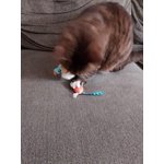 Image 4 of customer photos