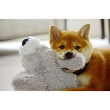 KONG Cozie Baily Plush Dog Toy – Medium/Large, Squeaky & Soft