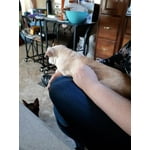 Image 1 of customer photos