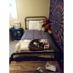 Image 4 of customer photos