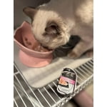 Image 5 of customer photos