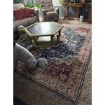 Image 7 of customer photos