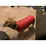 Image 6 of customer photos