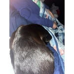 Image 7 of customer photos