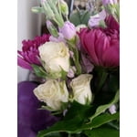 Image 9 of customer photos