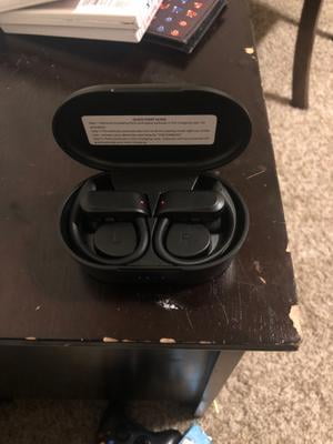 true wireless earbuds model 17ly86bk
