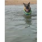 Image 2 of customer photos