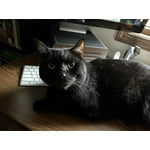 Image 5 of customer photos