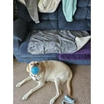 Image 6 of customer photos