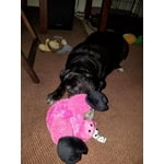 Image 2 of customer photos