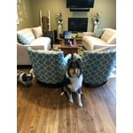 Image 1 of customer photos