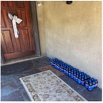 Image 2 of customer photos