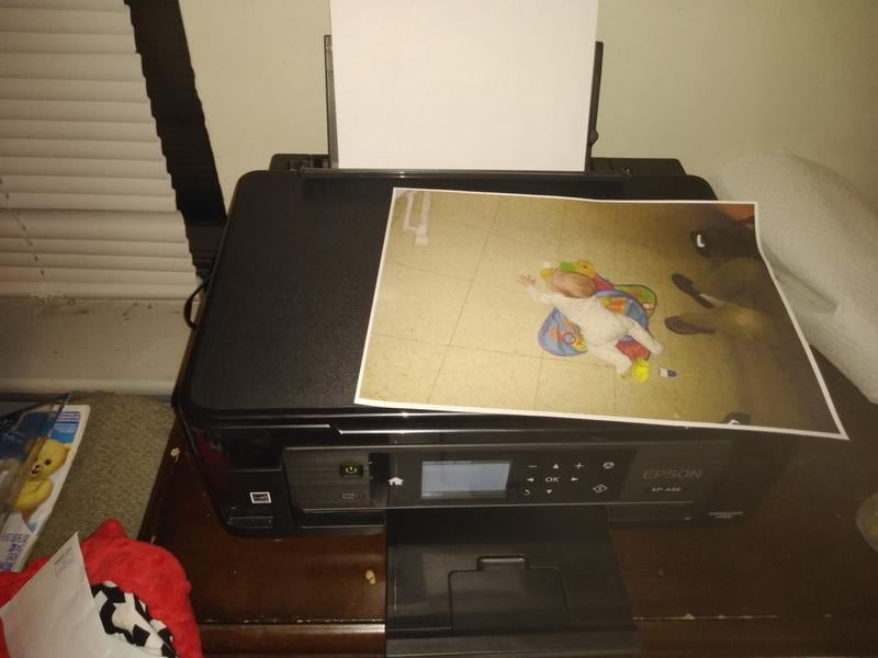 printer epson xp 446