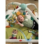 Image 6 of customer photos