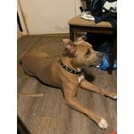 Image 3 of customer photos