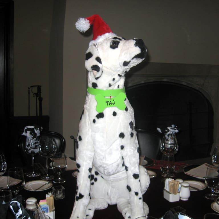 melissa & doug dalmatian