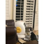 Image 3 of customer photos