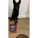 Image 5 of customer photos