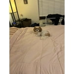 Image 6 of customer photos