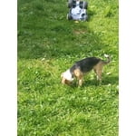 Image 4 of customer photos