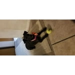 Image 5 of customer photos