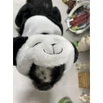 Image 6 of customer photos