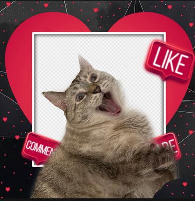 purina one sensitive systems walmart