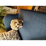 Image 1 of customer photos