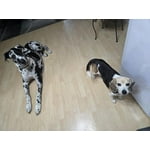 Image 1 of customer photos