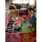 Image 5 of customer photos