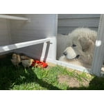 Image 4 of customer photos