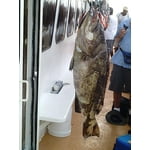 Image 7 of customer photos