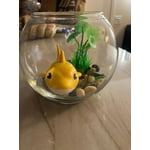 Image 7 of customer photos