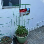 Image 2 of customer photos