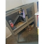 Image 3 of customer photos