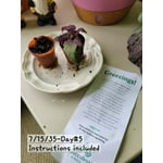 Image 6 of customer photos