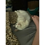 Image 3 of customer photos