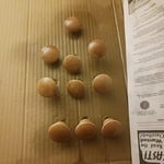 Image 1 of customer photos