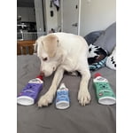 Image 3 of customer photos