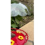 Image 7 of customer photos