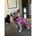Image 4 of customer photos