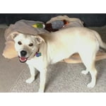 Image 6 of customer photos